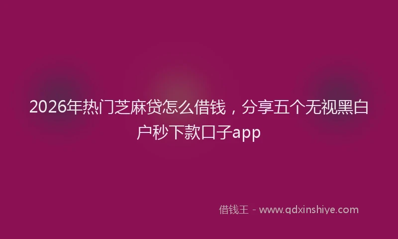 2026年热门芝麻贷怎么借钱，分享五个无视黑白户秒下款口子app