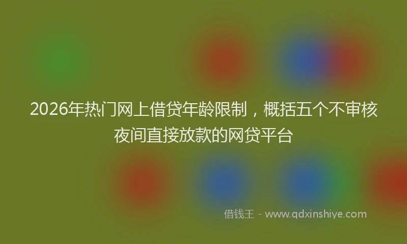 2026年热门网上借贷年龄限制，概括五个不审核夜间直接放款的网贷平台