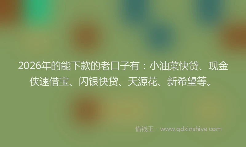 2026年的能下款的老口子有：小油菜快贷、现金侠速借宝、闪银快贷、天源花、新希望等。