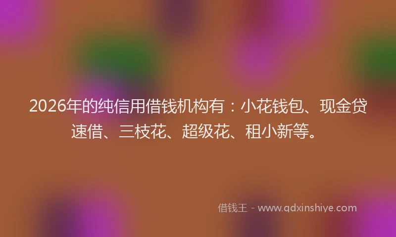 2026年的纯信用借钱机构有：小花钱包、现金贷速借、三枝花、超级花、租小新等。