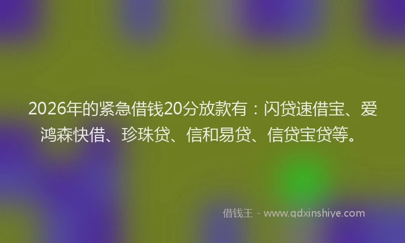 2026年的紧急借钱20分放款有：闪贷速借宝、爱鸿森快借、珍珠贷、信和易贷、信贷宝贷等。