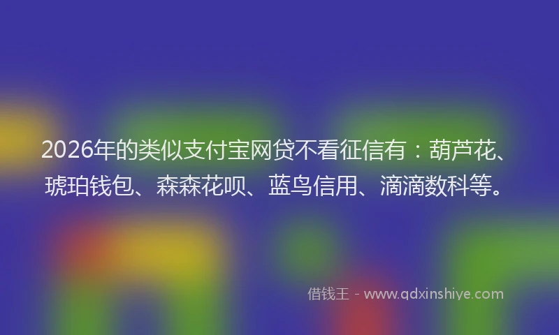 2026年的类似支付宝网贷不看征信有：葫芦花、琥珀钱包、森森花呗、蓝鸟信用、滴滴数科等。