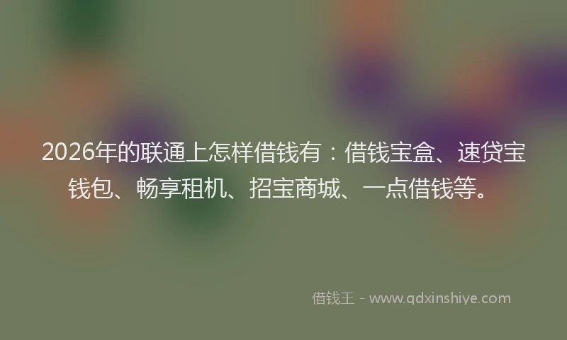 2026年的联通上怎样借钱有：借钱宝盒、速贷宝钱包、畅享租机、招宝商城、一点借钱等。