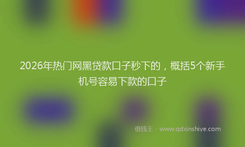 2026年热门网黑贷款口子秒下的，概括5个新手机号容易下款的口子