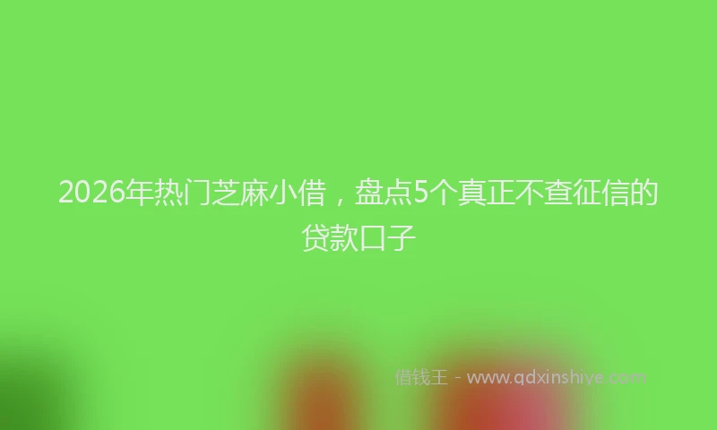 2026年热门芝麻小借，盘点5个真正不查征信的贷款口子