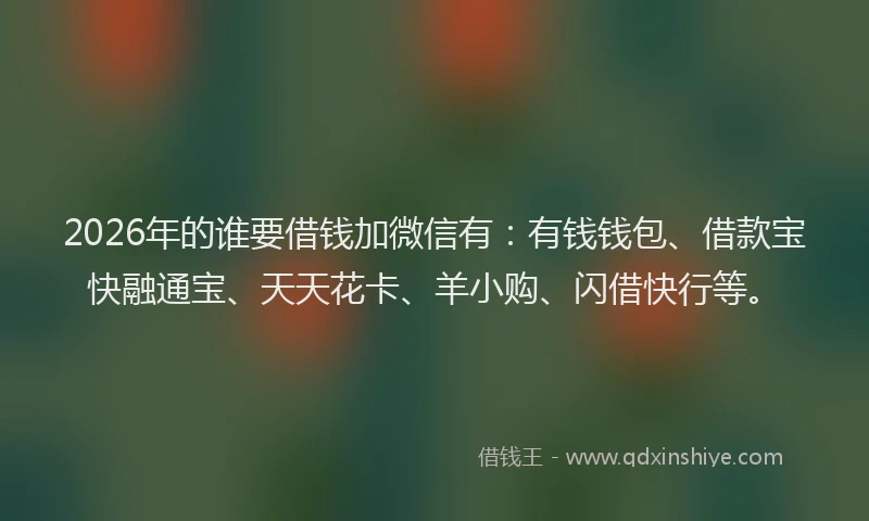 2026年的谁要借钱加微信有：有钱钱包、借款宝快融通宝、天天花卡、羊小购、闪借快行等。