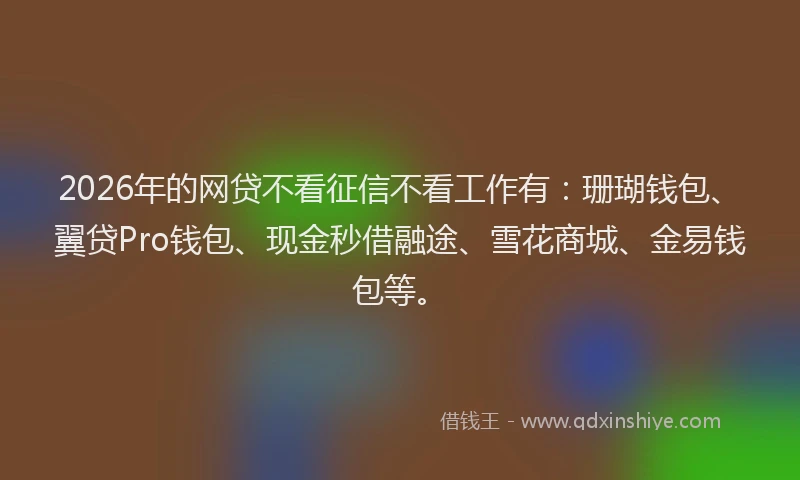 2026年的网贷不看征信不看工作有：珊瑚钱包、翼贷Pro钱包、现金秒借融途、雪花商城、金易钱包等。