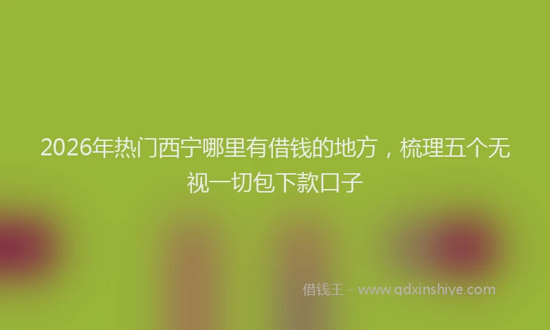 2026年热门西宁哪里有借钱的地方，梳理五个无视一切包下款口子