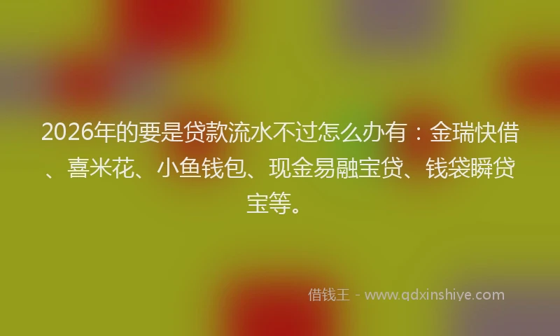 2026年的要是贷款流水不过怎么办有：金瑞快借、喜米花、小鱼钱包、现金易融宝贷、钱袋瞬贷宝等。