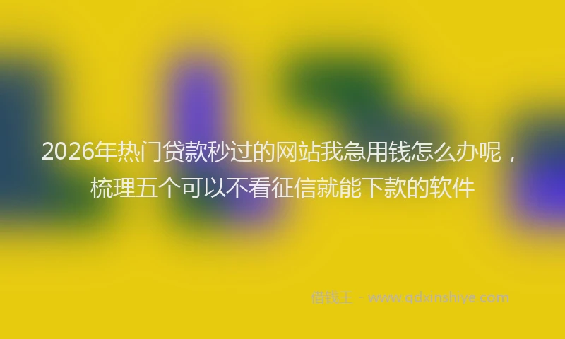 2026年热门贷款秒过的网站我急用钱怎么办呢，梳理五个可以不看征信就能下款的软件