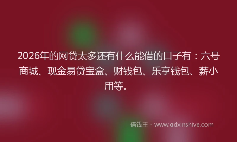 2026年的网贷太多还有什么能借的口子有：六号商城、现金易贷宝盒、财钱包、乐享钱包、薪小用等。