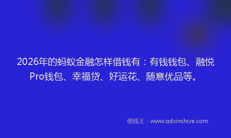 2026年的蚂蚁金融怎样借钱有：有钱钱包、融悦Pro钱包、幸福贷、好运花、随意优品等。