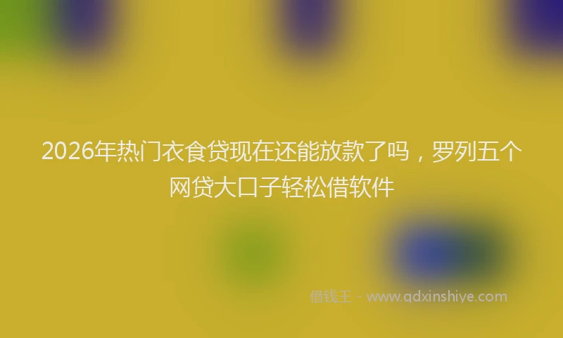 2026年热门衣食贷现在还能放款了吗，罗列五个网贷大口子轻松借软件