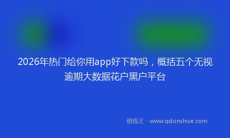 2026年热门给你用app好下款吗，概括五个无视逾期大数据花户黑户平台