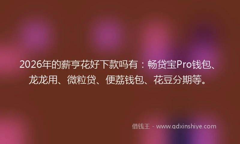 2026年的薪亨花好下款吗有：畅贷宝Pro钱包、龙龙用、微粒贷、便荔钱包、花豆分期等。