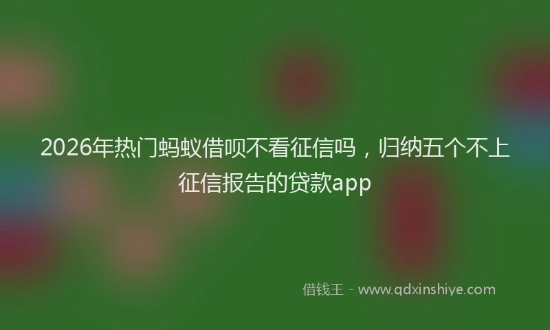 2026年热门蚂蚁借呗不看征信吗，归纳五个不上征信报告的贷款app
