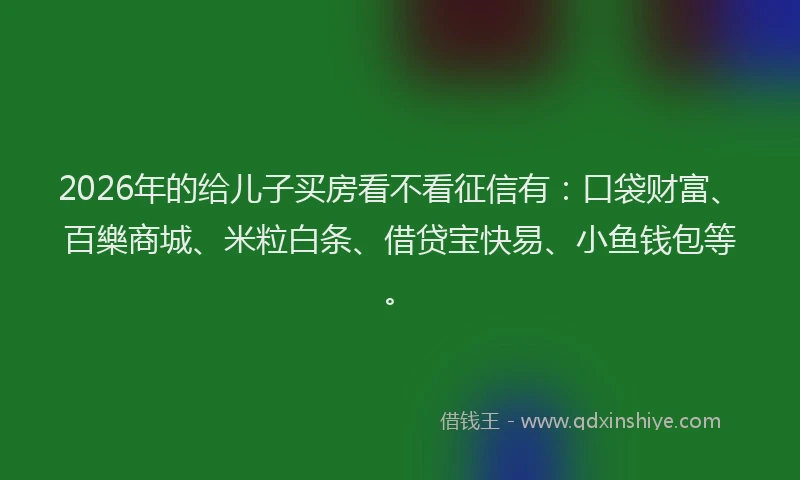 2026年的给儿子买房看不看征信有：口袋财富、百樂商城、米粒白条、借贷宝快易、小鱼钱包等。
