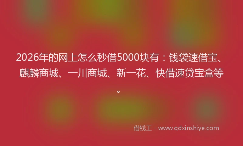 2026年的网上怎么秒借5000块有:钱袋速借宝、麒麟商城、一川商城、新一花、快借速贷宝盒等。