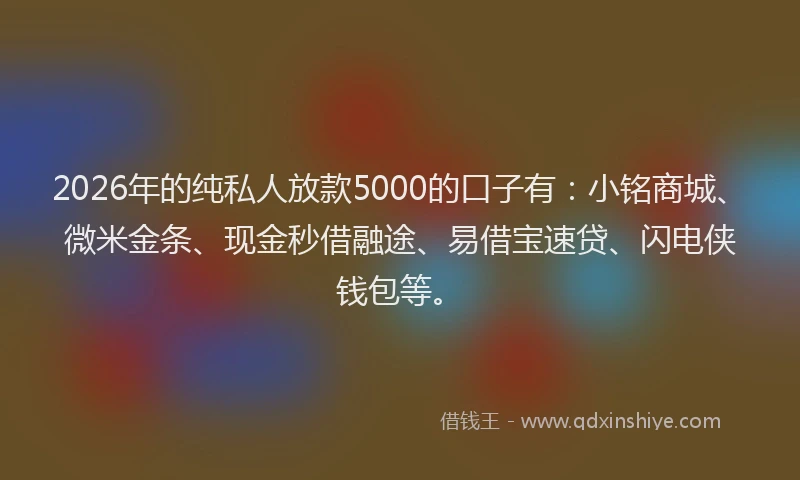 2026年的纯私人放款5000的口子有：小铭商城、微米金条、现金秒借融途、易借宝速贷、闪电侠钱包等。
