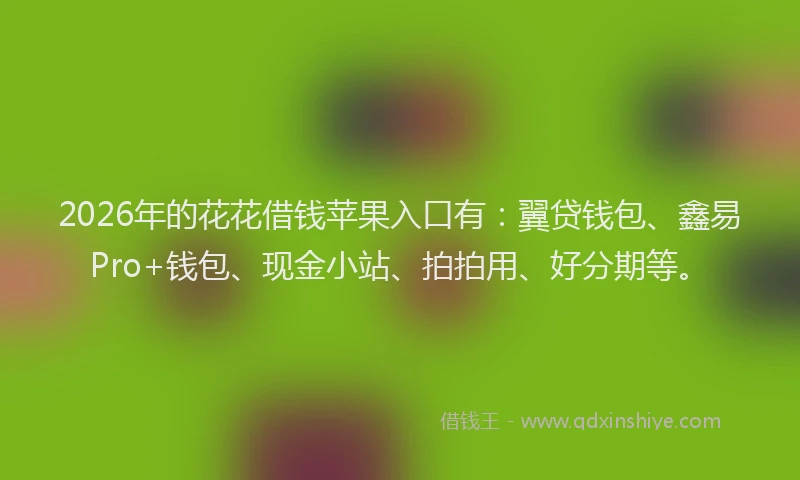 2026年的花花借钱苹果入口有:翼贷钱包、鑫易Pro+钱包、现金小站、拍拍用、好分期等。