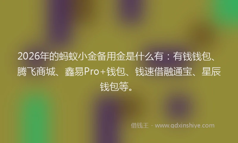2026年的蚂蚁小金备用金是什么有：有钱钱包、腾飞商城、鑫易Pro+钱包、钱速借融通宝、星辰钱包等。