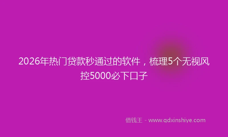 2026年热门贷款秒通过的软件，梳理5个无视风控5000必下口子