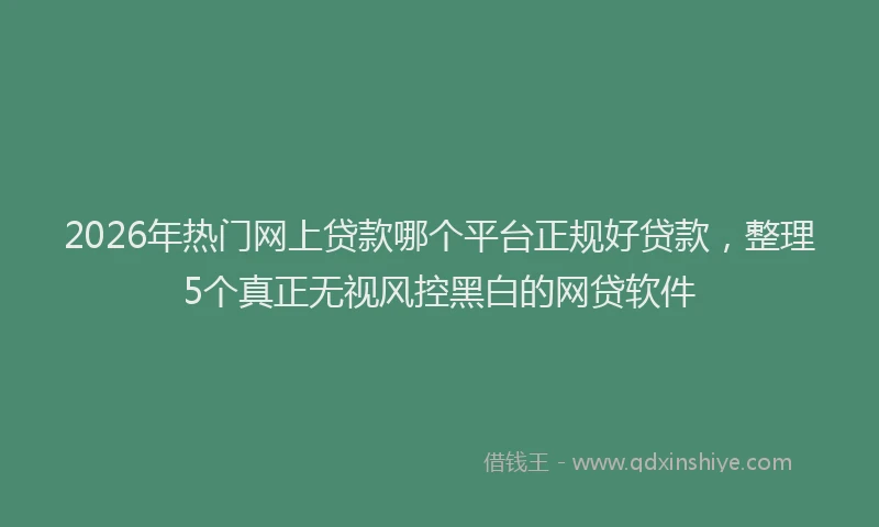 2026年热门网上贷款哪个平台正规好贷款，整理5个真正无视风控黑白的网贷软件
