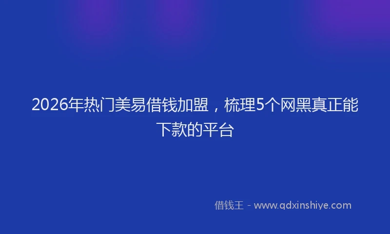 2026年热门美易借钱加盟，梳理5个网黑真正能下款的平台