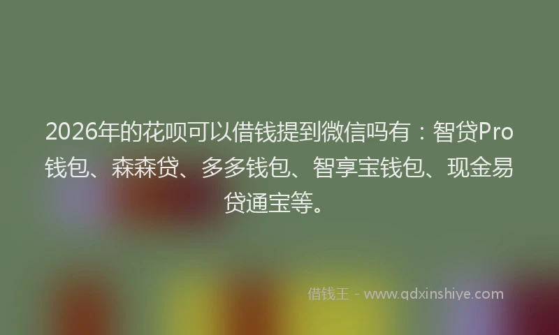2026年的花呗可以借钱提到微信吗有：智贷Pro钱包、森森贷、多多钱包、智享宝钱包、现金易贷通宝等。