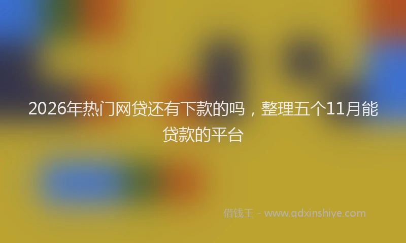 2026年热门网贷还有下款的吗,整理五个11月能贷款的平台