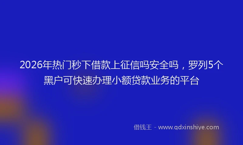2026年热门秒下借款上征信吗安全吗，罗列5个黑户可快速办理小额贷款业务的平台