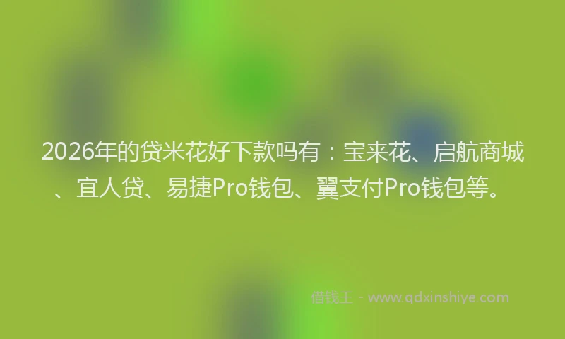 2026年的贷米花好下款吗有：宝来花、启航商城、宜人贷、易捷Pro钱包、翼支付Pro钱包等。