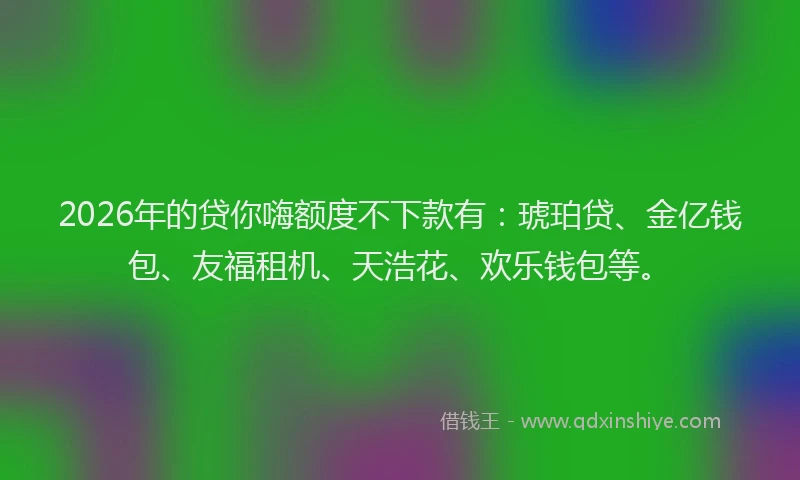 2026年的贷你嗨额度不下款有:琥珀贷、金亿钱包、友福租机、天浩花、欢乐钱包等。