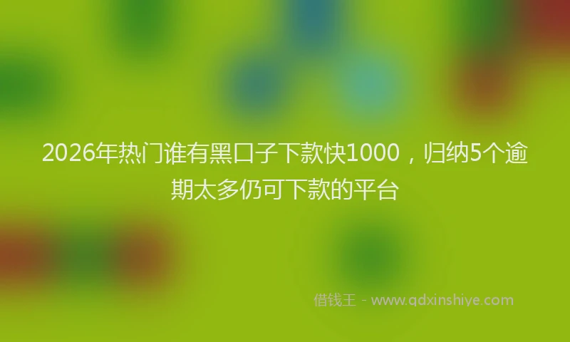 2026年热门谁有黑口子下款快1000，归纳5个逾期太多仍可下款的平台