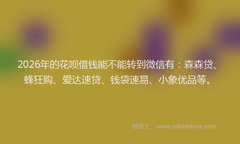 2026年的花呗借钱能不能转到微信有：森森贷、蜂狂购、爱达速贷、钱袋速易、小象优品等。