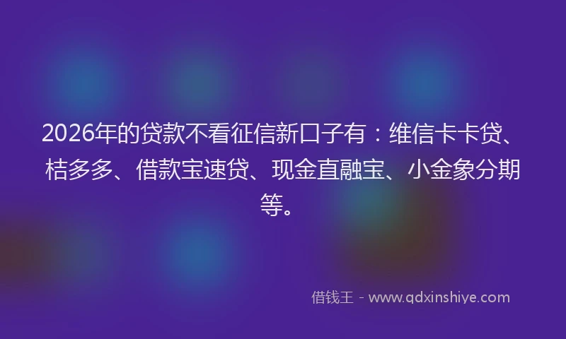 2026年的贷款不看征信新口子有:维信卡卡贷、桔多多、借款宝速贷、现金直融宝、小金象分期等。