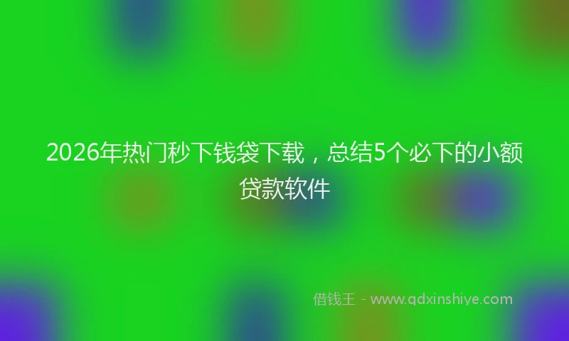 2026年热门秒下钱袋下载，总结5个必下的小额贷款软件
