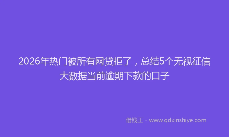 2026年热门被所有网贷拒了，总结5个无视征信大数据当前逾期下款的口子
