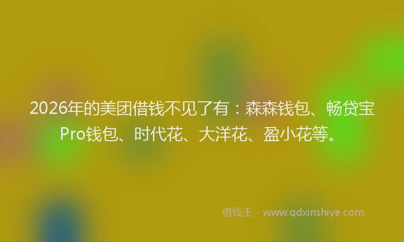 2026年的美团借钱不见了有：森森钱包、畅贷宝Pro钱包、时代花、大洋花、盈小花等。