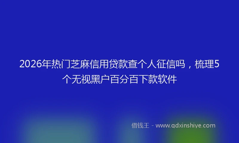 2026年热门芝麻信用贷款查个人征信吗，梳理5个无视黑户百分百下款软件
