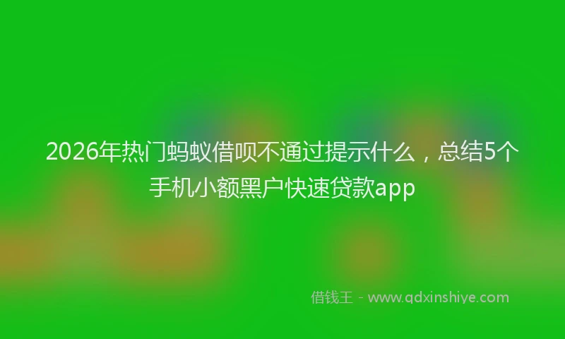 2026年热门蚂蚁借呗不通过提示什么，总结5个手机小额黑户快速贷款app