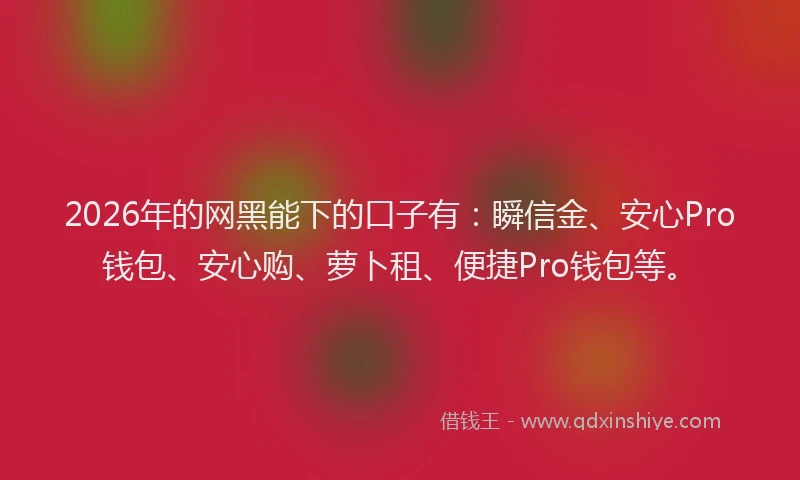 2026年的网黑能下的口子有：瞬信金、安心Pro钱包、安心购、萝卜租、便捷Pro钱包等。