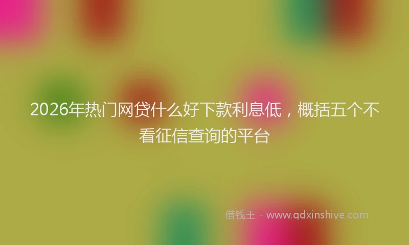 2026年热门网贷什么好下款利息低，概括五个不看征信查询的平台