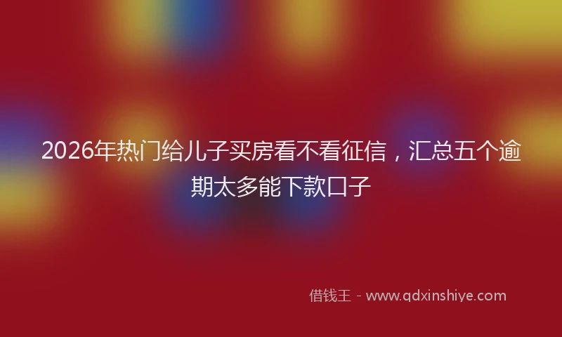 2026年热门给儿子买房看不看征信，汇总五个逾期太多能下款口子