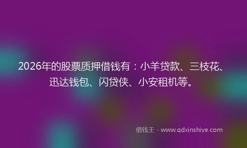 2026年的股票质押借钱有：小羊贷款、三枝花、迅达钱包、闪贷侠、小安租机等。
