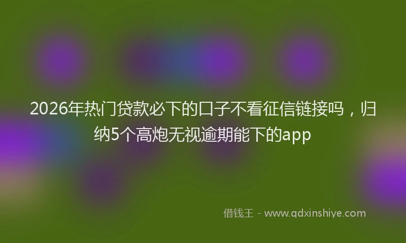 2026年热门贷款必下的口子不看征信链接吗，归纳5个高炮无视逾期能下的app