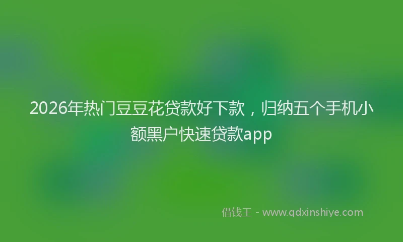 2026年热门豆豆花贷款好下款，归纳五个手机小额黑户快速贷款app