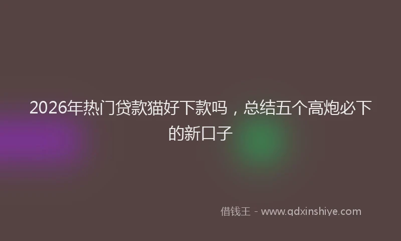 2026年热门贷款猫好下款吗，总结五个高炮必下的新口子