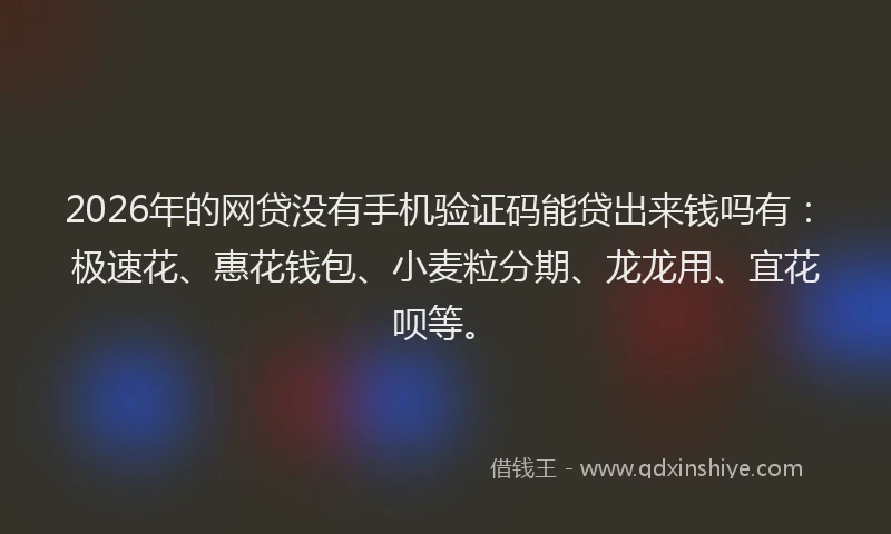 2026年的网贷没有手机验证码能贷出来钱吗有：极速花、惠花钱包、小麦粒分期、龙龙用、宜花呗等。