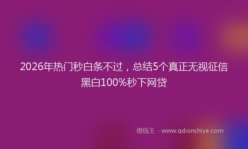 2026年热门秒白条不过，总结5个真正无视征信黑白100%秒下网贷